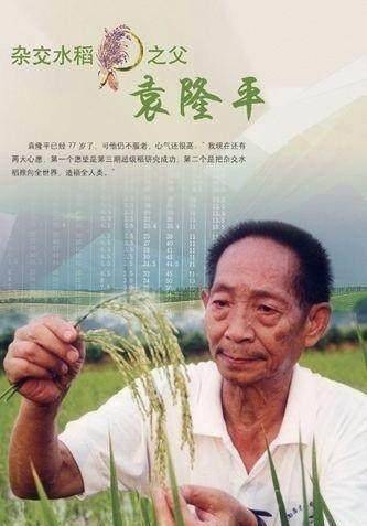 浪費三年還是幸運的,不然浪費一生_遺傳學_李森科_方方面面