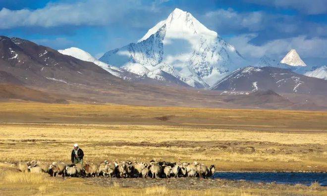 冈底斯藏语意为众山之主,又被称作"世界之轴"_喜马拉雅山脉_海拔_活动