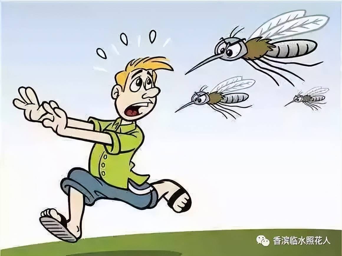 【思维导图"画"作文——四年级生活万花筒】邸妙涵《灭蚊大战》(十五)