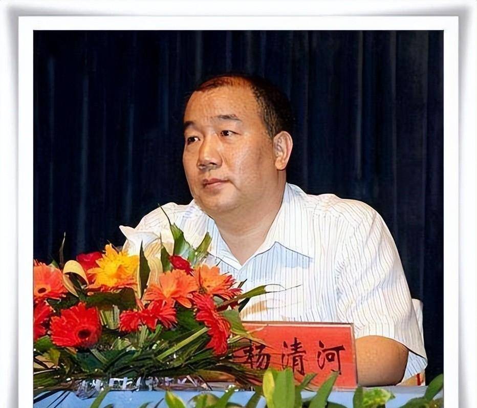 河南安阳亿万富豪杨清河,骈运来与"帝都"的风云往事_经济_商界_商业