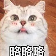 小伙儿救猫心切爬上树,结果猫没救下来,自己也下不来了… 小伙儿救猫心切爬上树,结果猫没救下来,自己也下不来了…