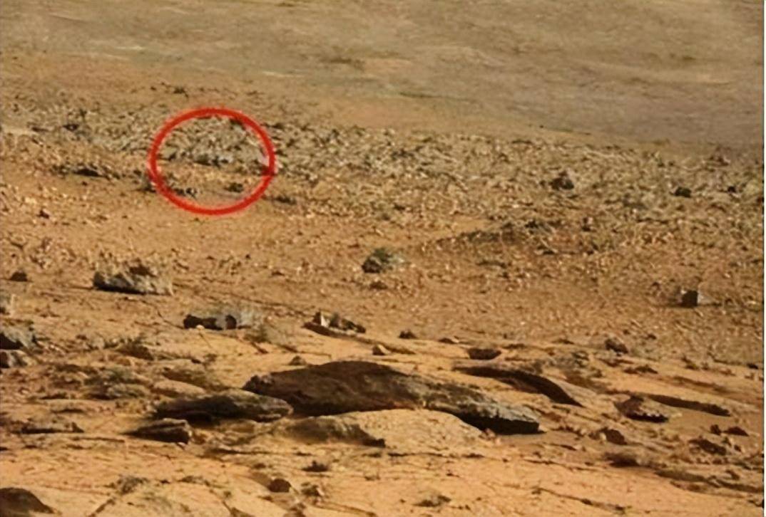 金星探测发现生命痕迹,反超想象!_地球_气体_大气