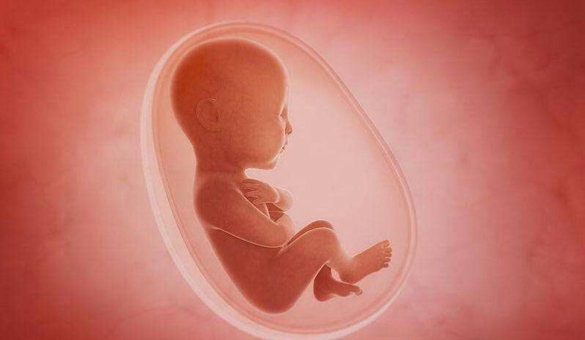 胎儿的大小取决于什么？准妈妈们赶紧围观