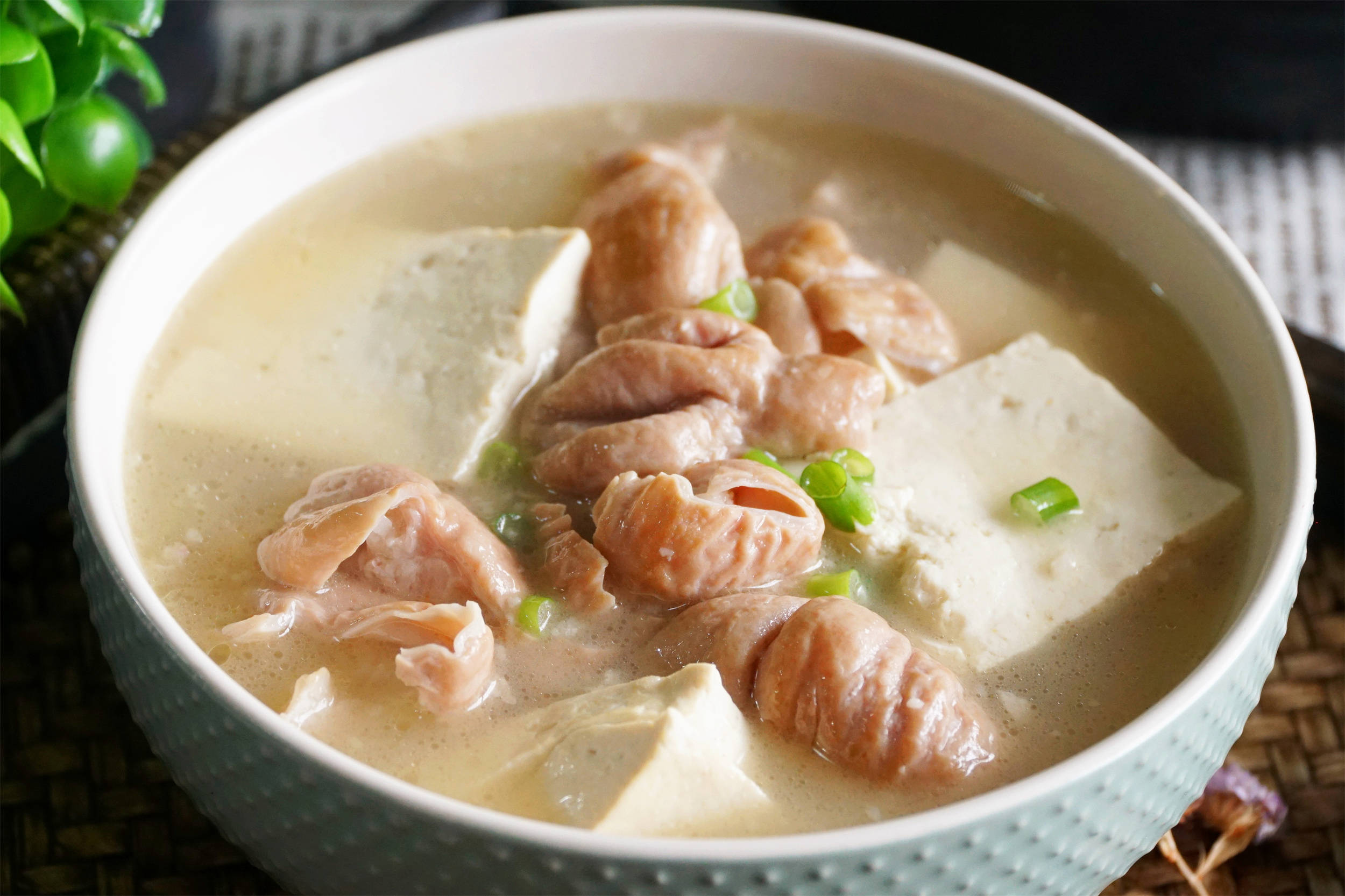 大肠炖豆腐可谓是北方入冬后的标配,营养好吃又解馋,一碗下肚后全身都