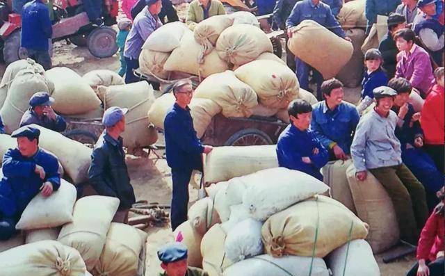 农民交公粮:不该被遗忘的历史记忆_建设_国家_粮站