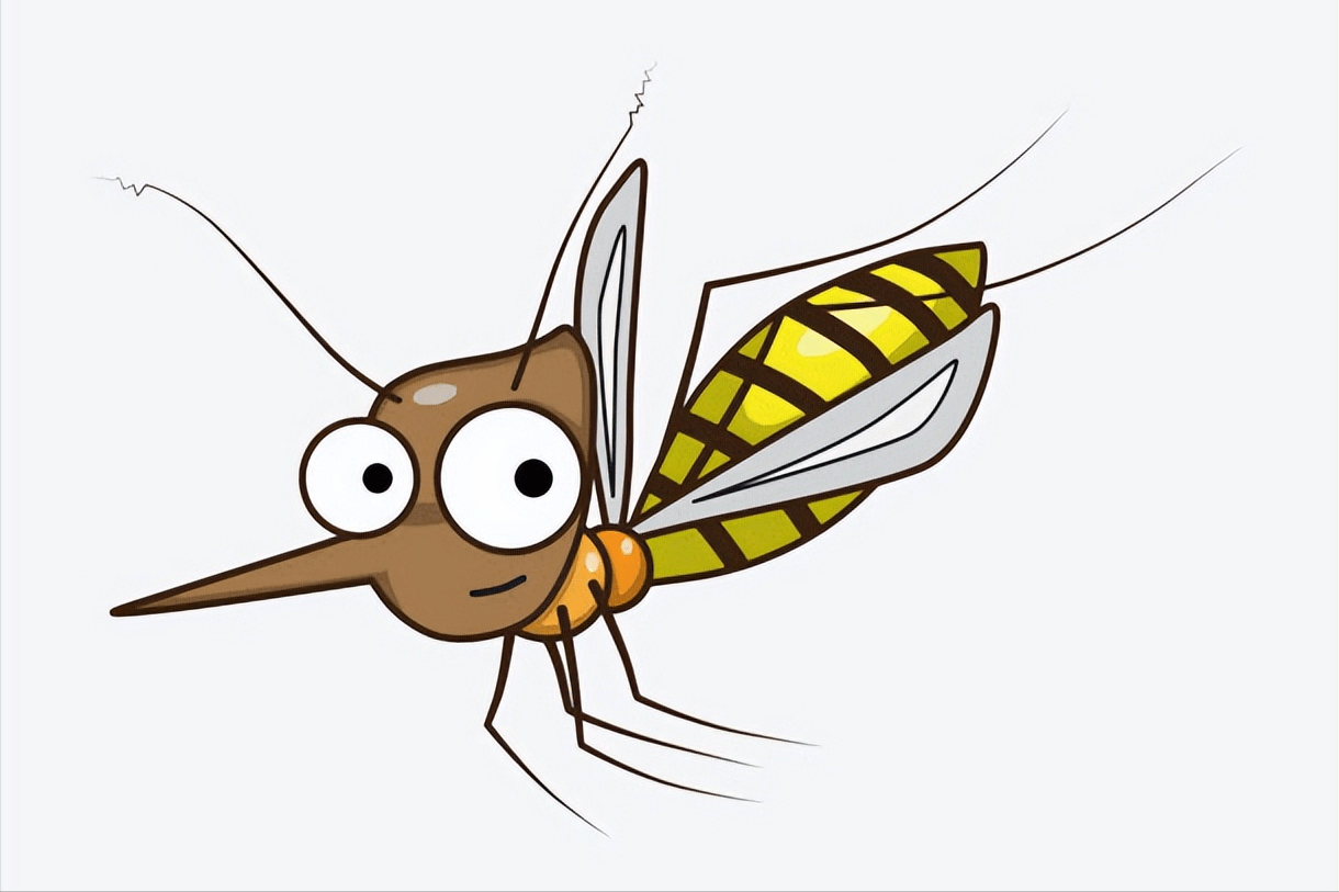 为了应对花蚊子入侵的挑战,我们需要积极引进花蚊子的