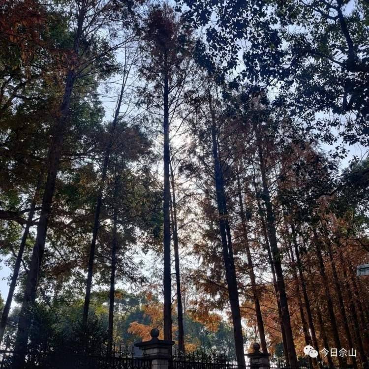 佘山美景已上线