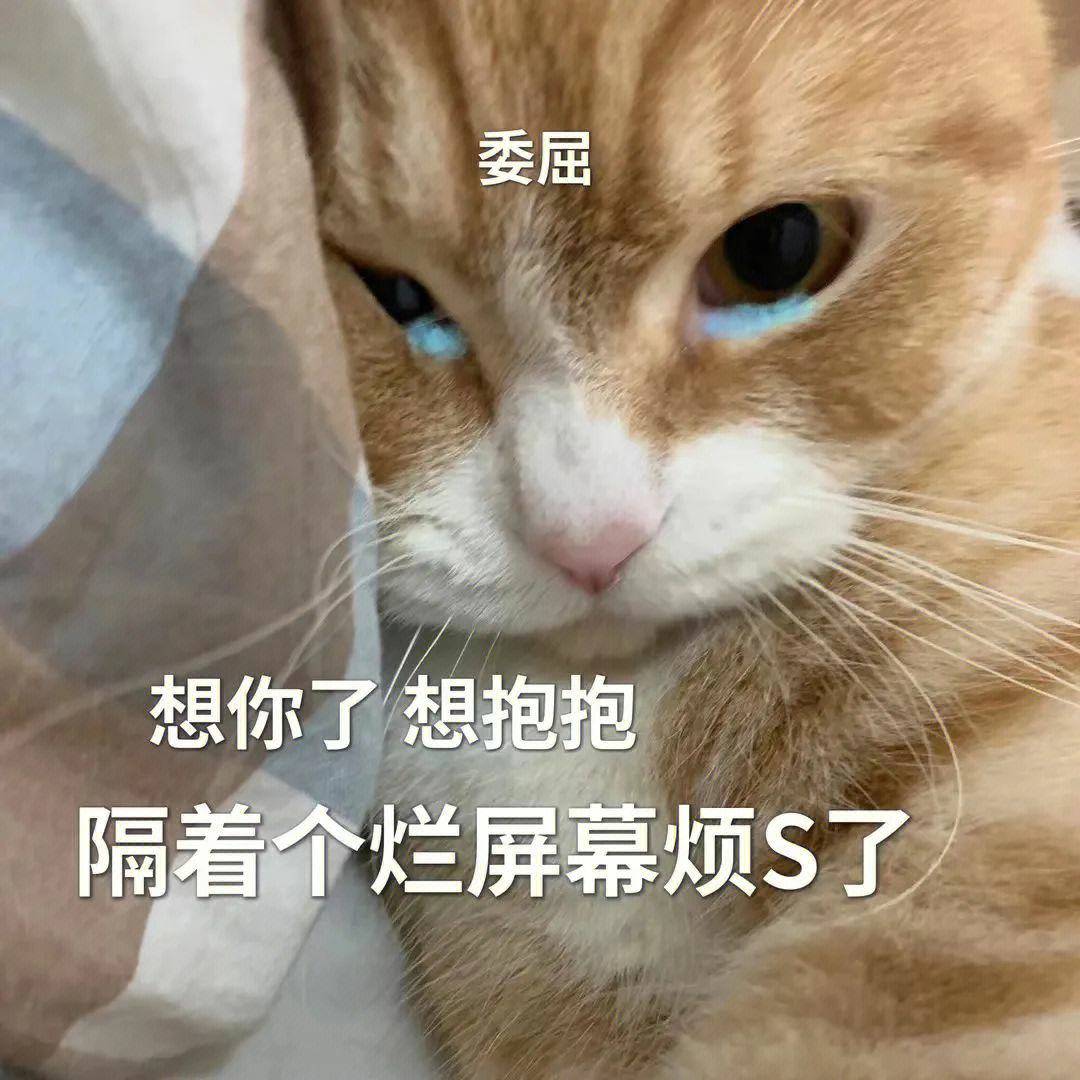 笑话十条:同学聚餐,一同学说他吃菜只吃菜的前半部