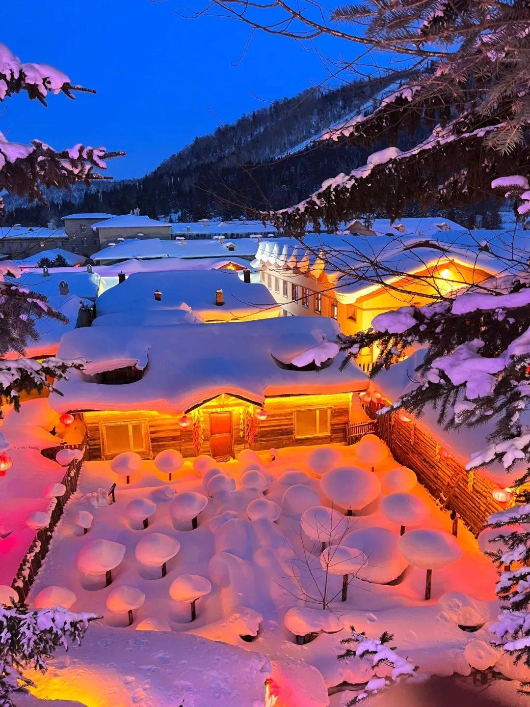 7天6夜雪乡,延吉,长白山玩透东北小环线_雪地_冬日_温泉