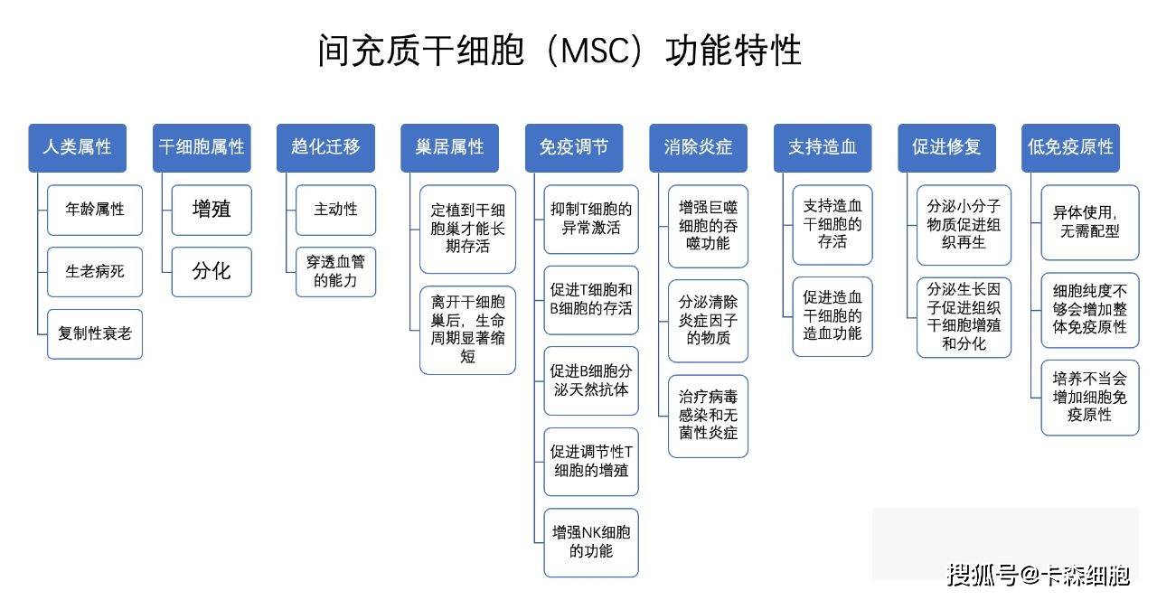 间充质干细胞(msc)具有分化的功能,是干细胞大家族中唯一不是通过分化