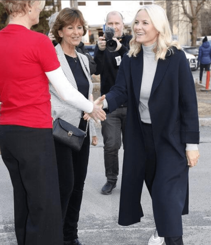 王储妃穿灰色印花大衣美翻,德国夫人未现身_风衣_梅特_黑色