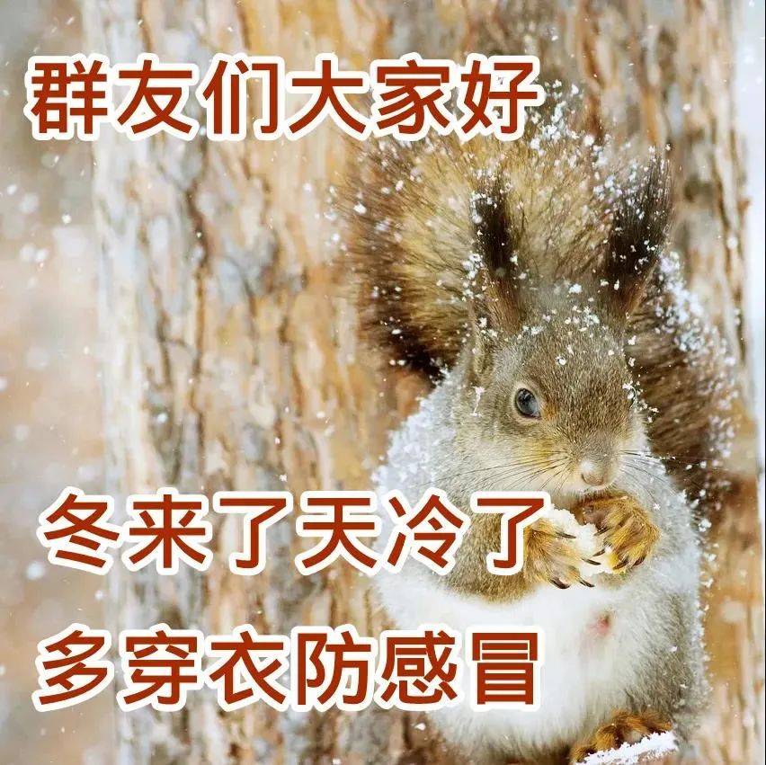 9张冬日最美风景早上好图片带字带祝福语 免打字聊天的冬日早安问候祝福语图片