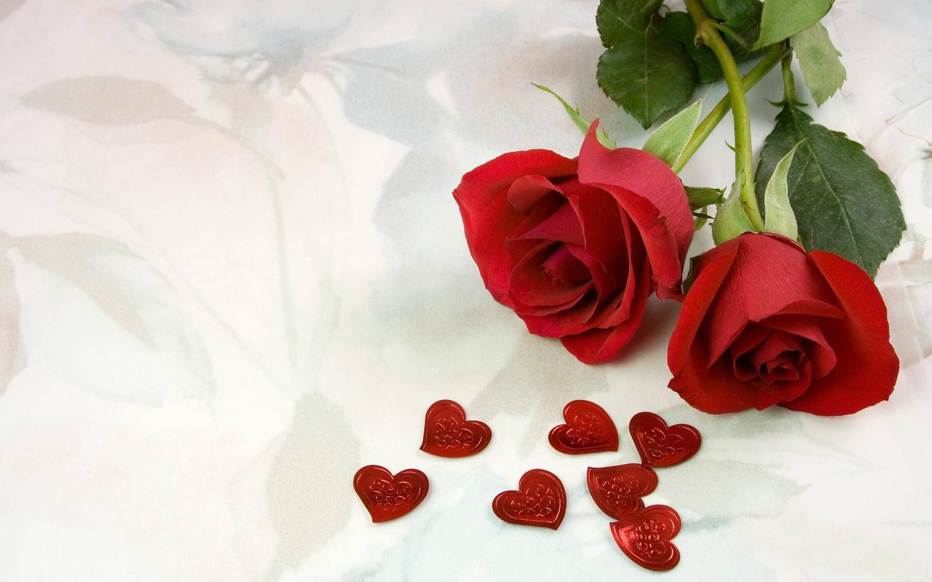 11月,爱情甜蜜似蜂蜜,心中情愫涌如潮.