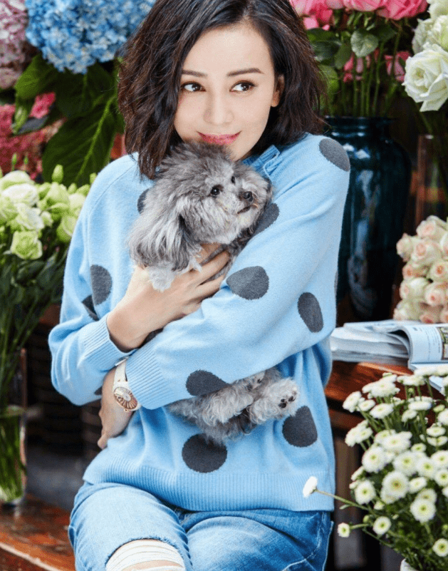 "雪姨"王琳节目中下跪磕头,何洁吓到变形,黄奕叶璇表情耐人寻味_网友