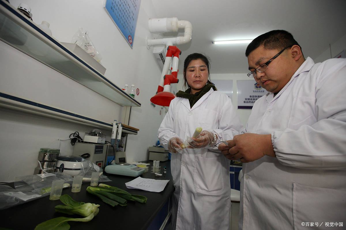 粮油质量检验员证书就业方向？粮油质量检验员证书报考流程？证书报考时间