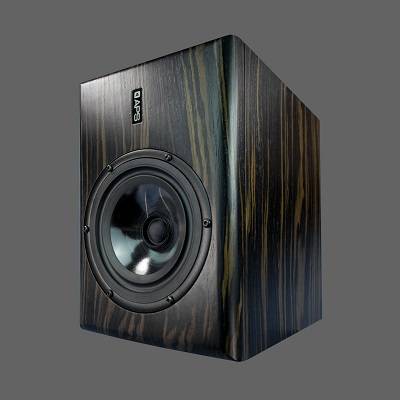 aps coax 有源双向同轴监听音箱_dbu_扬声器_开关