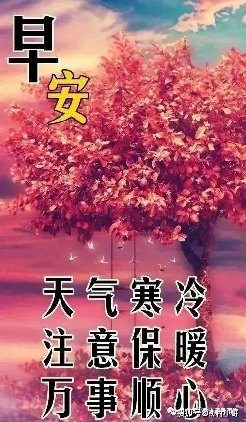 6711月14日超漂亮清晨早安祝福图片带字,温馨的早