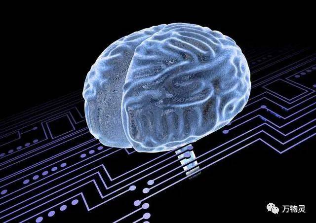 人脑芯片:人类存亡的关键,是否应该慢一点?_应用_技术_的发展