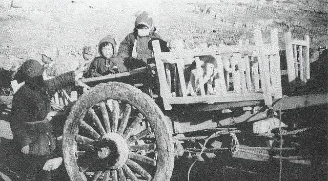 延安托儿所的"远征":保育员用身体抬驴子,孩子们拽着驴尾巴_丑子冈