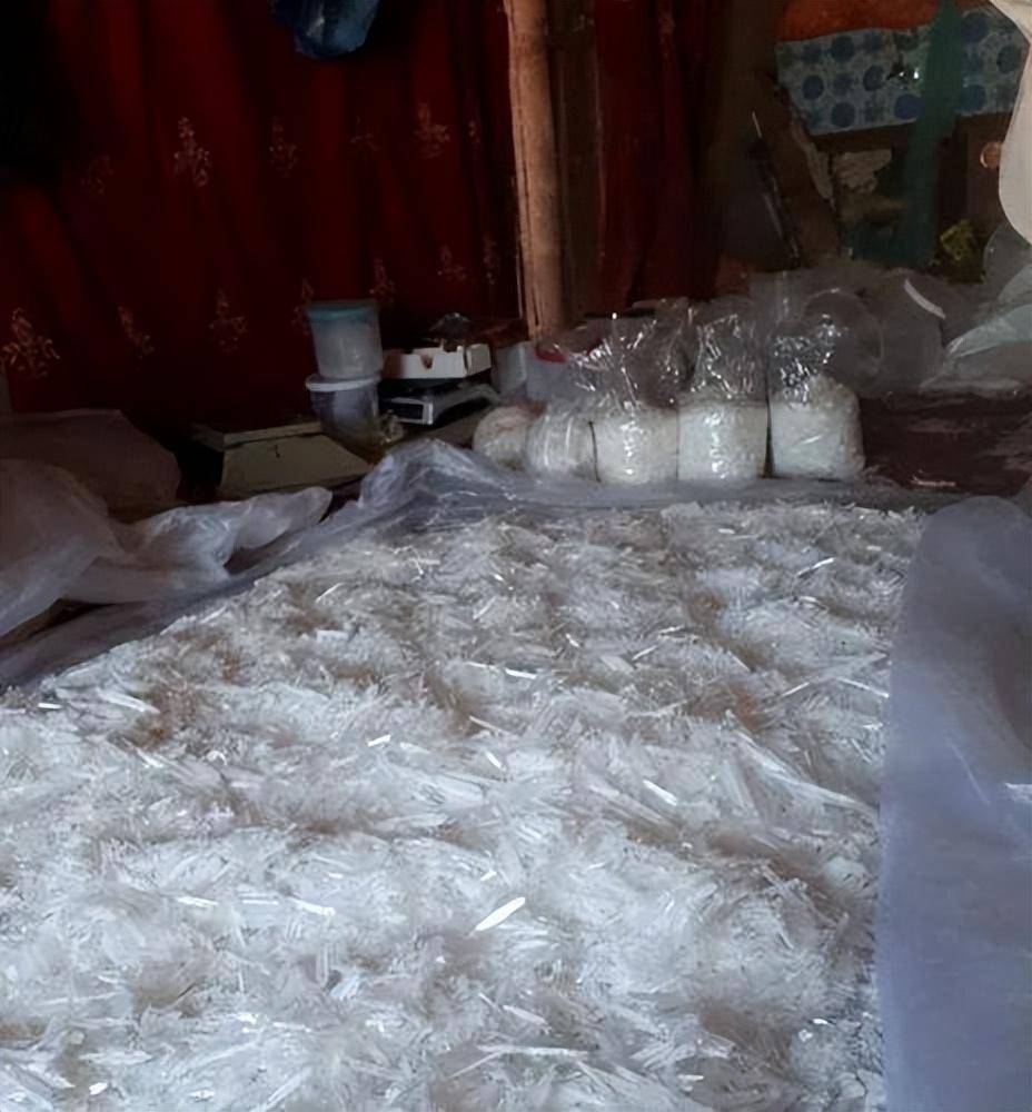 禁毒_罂粟_鸦片