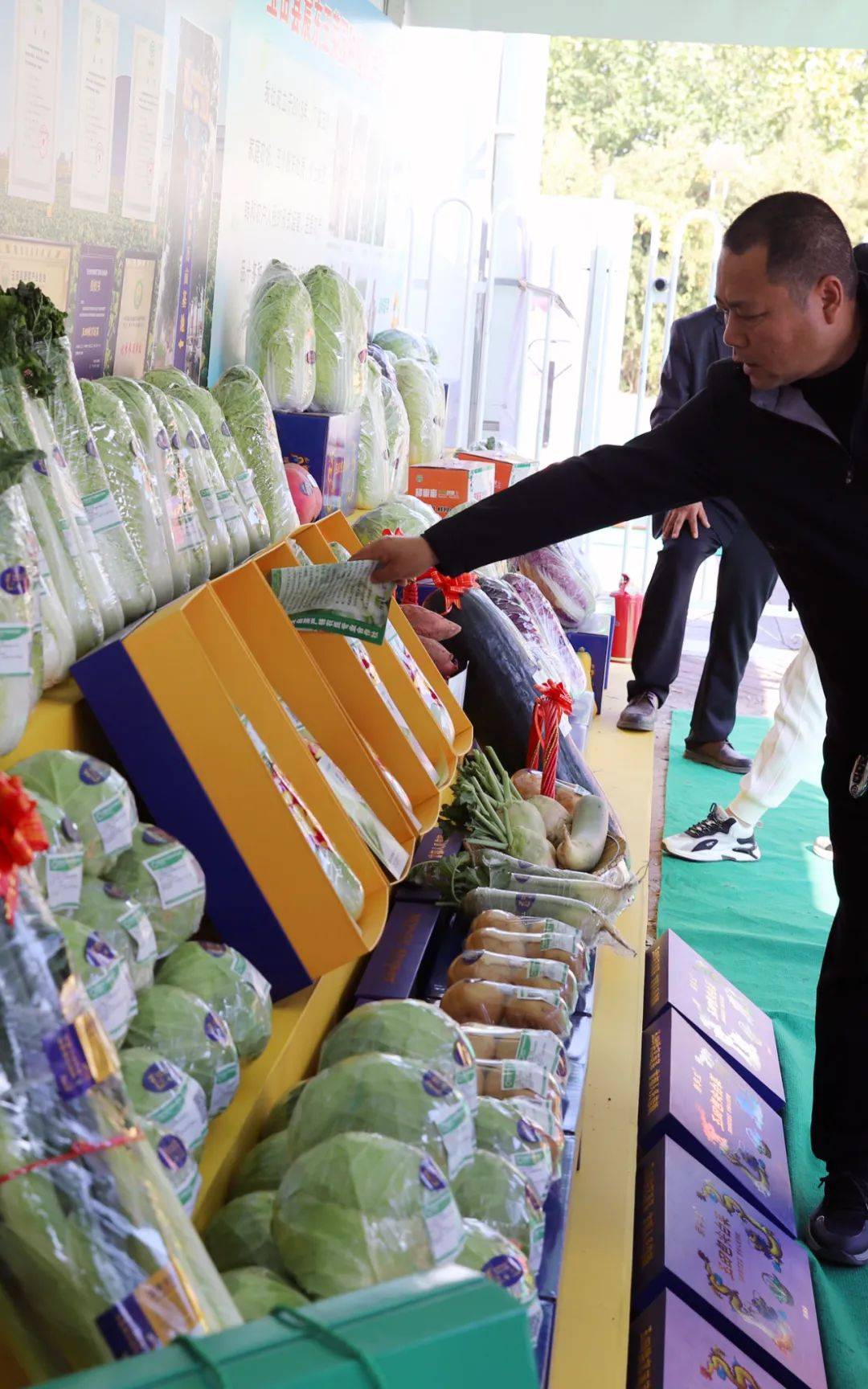 玉田供京蔬菜:品牌引领产业发展的典范_玉田县_农业_河北