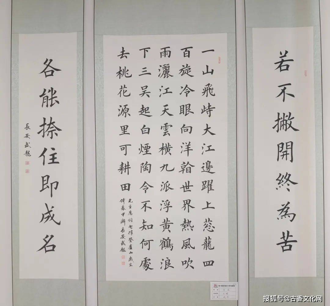 王峰波丨书法作品欣赏_陕西_协会会员_好评