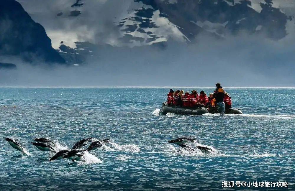 南极又出大事了!中国第40次南极科考,国家地理发布13万科考活动秒卖光