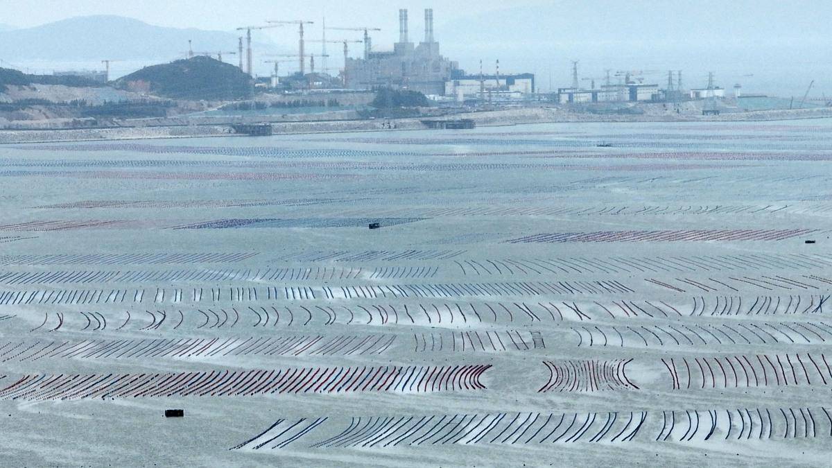 霞浦三沙港图片