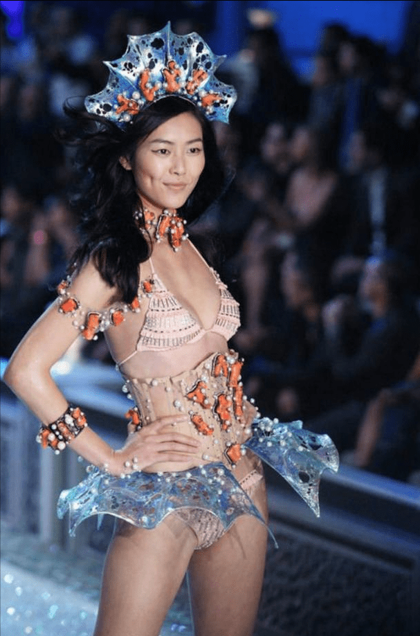 刘雯:首位维密的亚洲女模,她成功的背后有哪些不为人知的秘密?