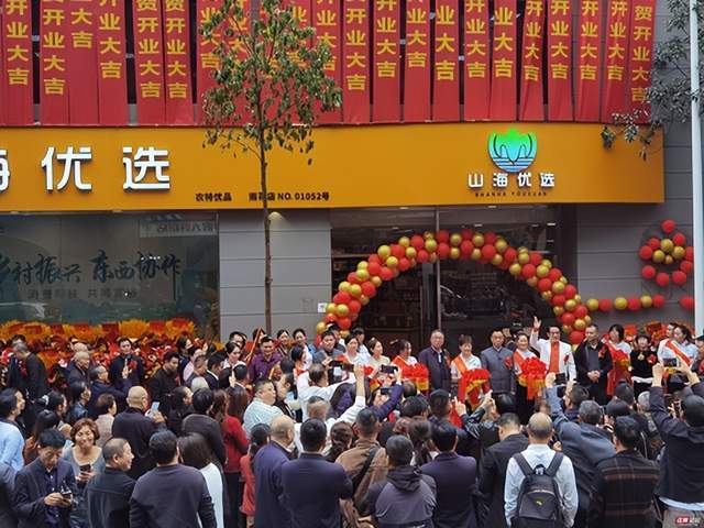 “山海优选”“裕农园”“伊宅购”等涉嫌传销和