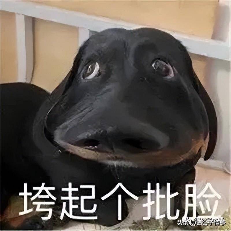 说真的……我要是新娘,我也垮起个批脸.这婚,老子不结也罢.