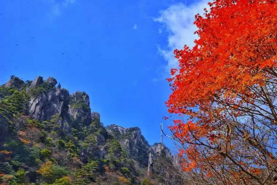 红叶舞秋山,5个美到极致的赏枫胜地