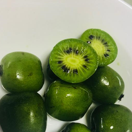 此树立冬前种2棵，来年收获一果园，亩赚30000，一年脱贫两年致富(图2)