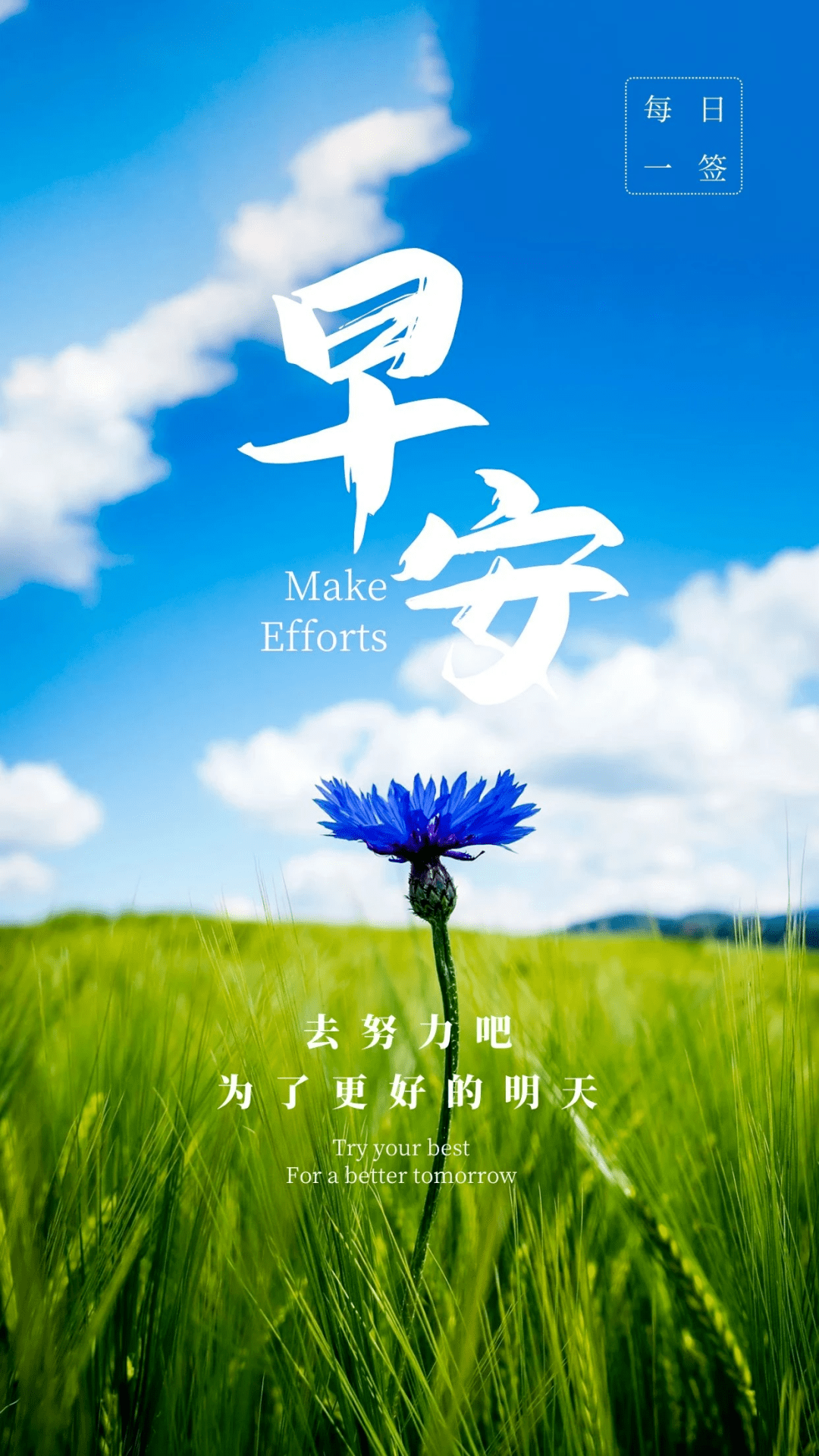 11月17日星期五今日早报简报微语报早读_评价_民航_因为