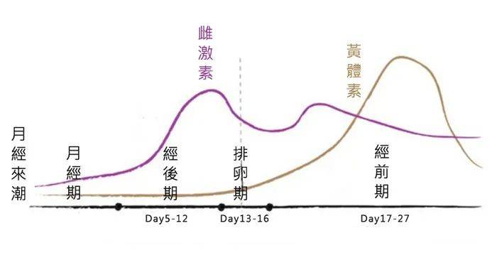 女性如何通过白带辨别是否健康