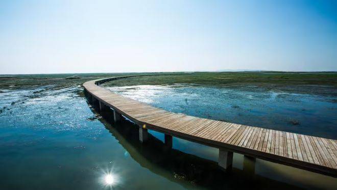 鄱阳湖湿地公园住宿图片