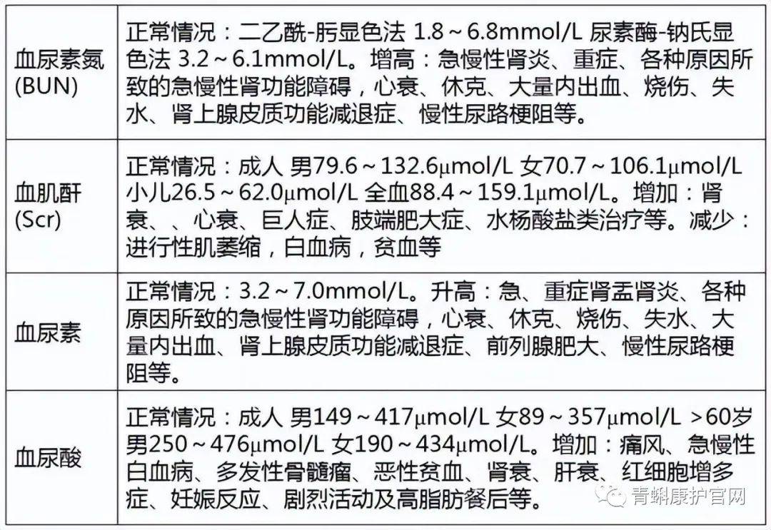 尿素氮高是怎么回事图片