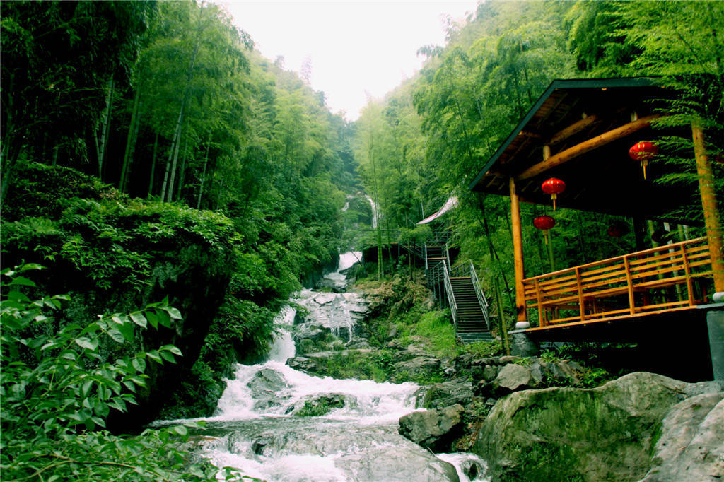 双溪竹海位于浙江省杭州西北30多公里处的余杭区双溪镇_竹林_景区