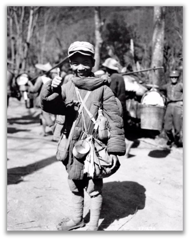 和平鸽_战争_加沙