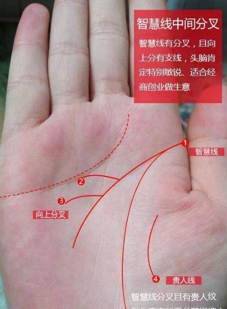 此类手相的男人,天生财运差是劳苦命,生活艰辛注定存不住钱!