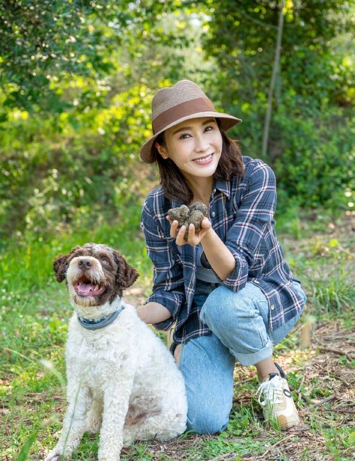 52岁黎姿去大山野岭体验大自然生活,通过狗狗找黑松露,呼吁珍惜地球上