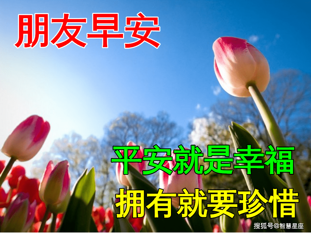 11月20日早上好动态表情图片大全,早晨好动图美图大全_祝福_人生_开心