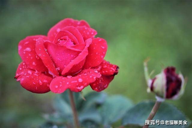 在11月份,养精蓄锐,提高警惕,称心如意的三大星座_事情_认可_细节