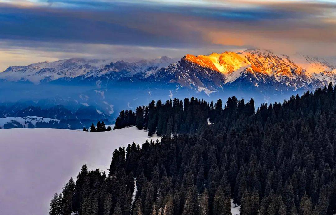 门票_项目_激情