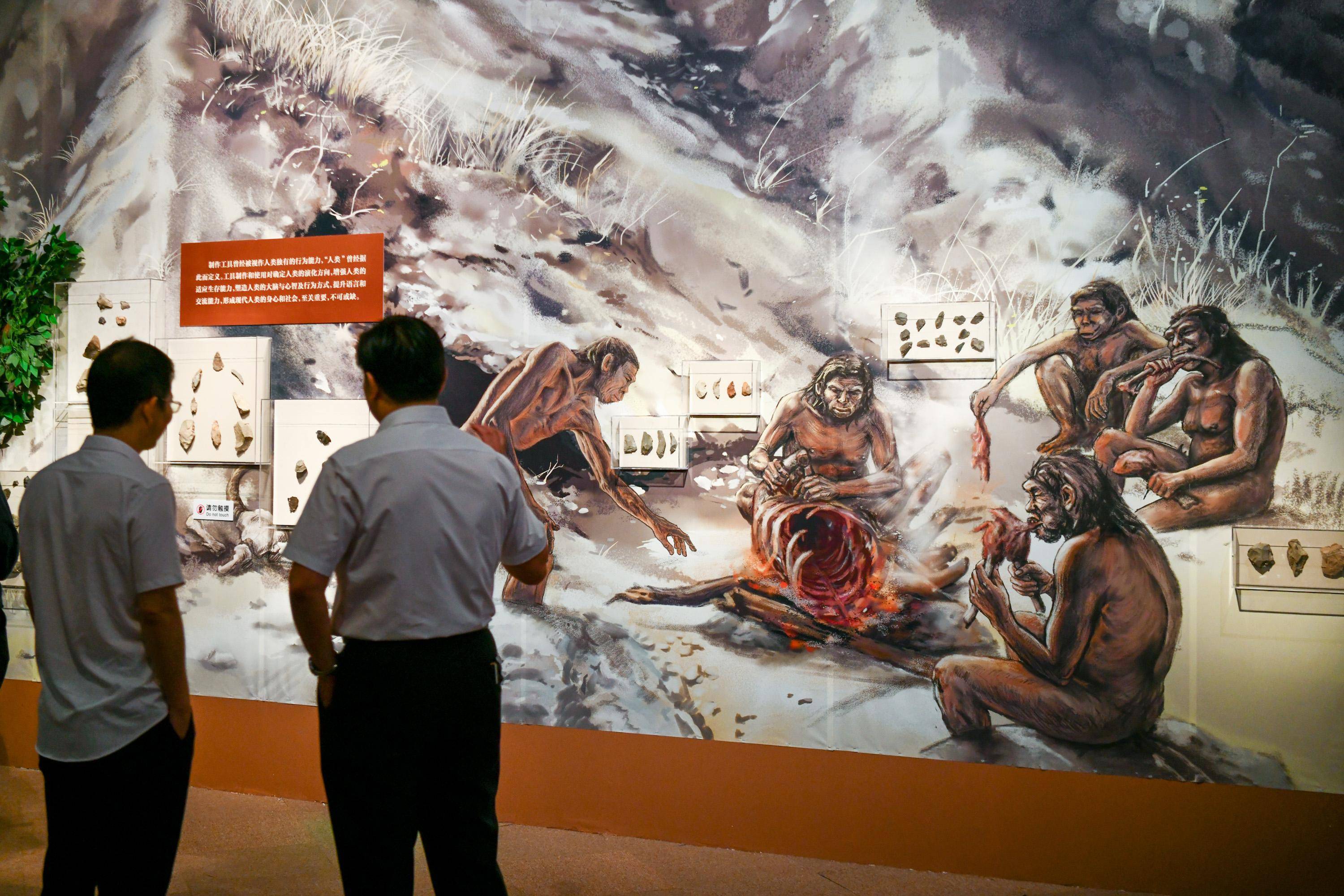 区区一只猿猴,真能越级式进化成人?_物种_智力_其他