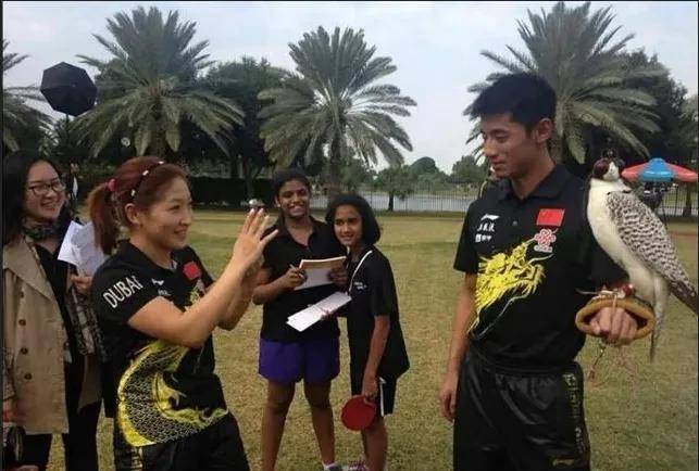 伊藤美_冯天薇_张继科