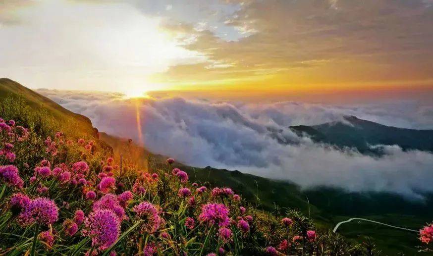 九洞天,韭菜坪,二台坡等景区推出了门票半价优惠