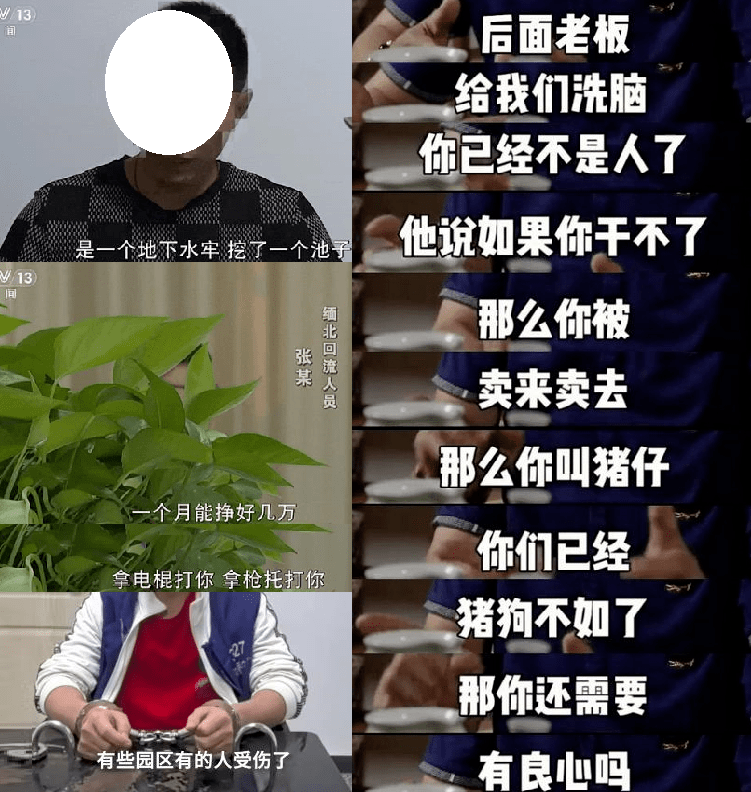 認為自己見多識廣,美貌聰明,去到緬北求職,可以鶴立雞群,實現降維打擊