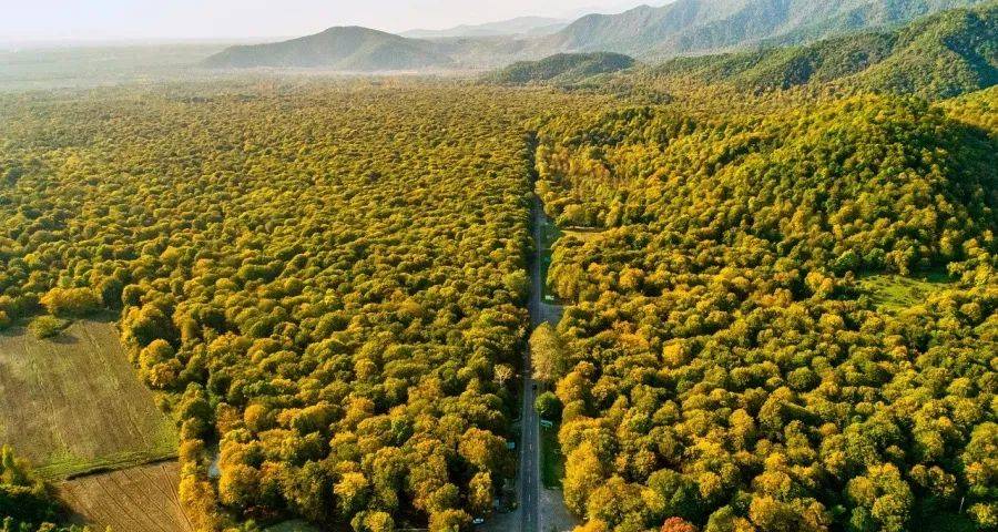 家电经销商称情愿躺平也不内卷了-家电圈官网