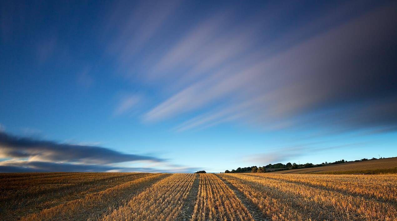 城府深,个性强,眼光高,实事求是,不明朗的星座_生活_金牛座_天蝎座
